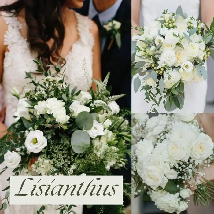 5 ดอกไม้ในวันแต่งงาน ที่มาพร้อมความสวยงามและความหมายดีๆ