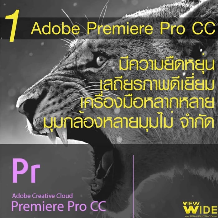 Best Editing Software 2018