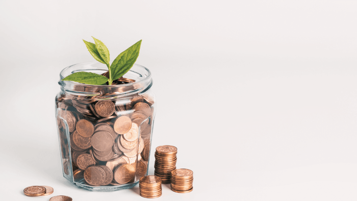 Living Zero Waste on a Budget