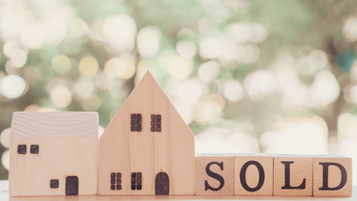 The Best Sustainable Realtor Closing Gifts