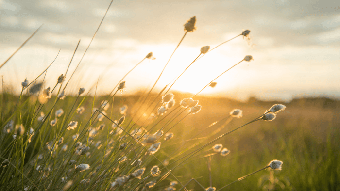 Collection of the best sustainable summer products for 2025