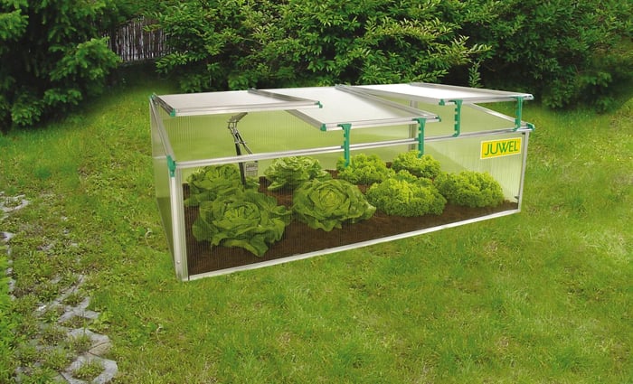 Juwel Cold Frame Biostar 1500 in yard