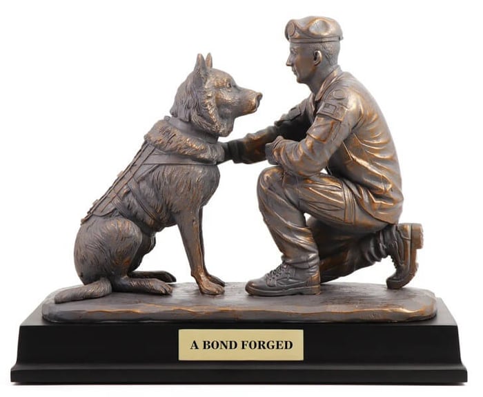 A dog and its handler