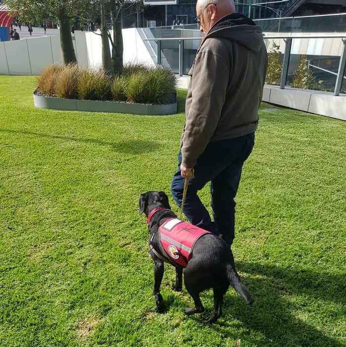 Koda with her veteran