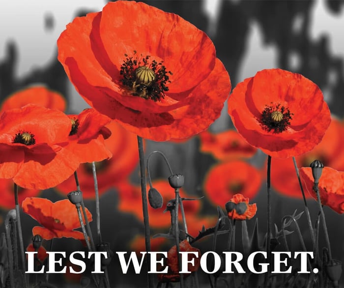 LWF_Poppies_1_FB_940x788px