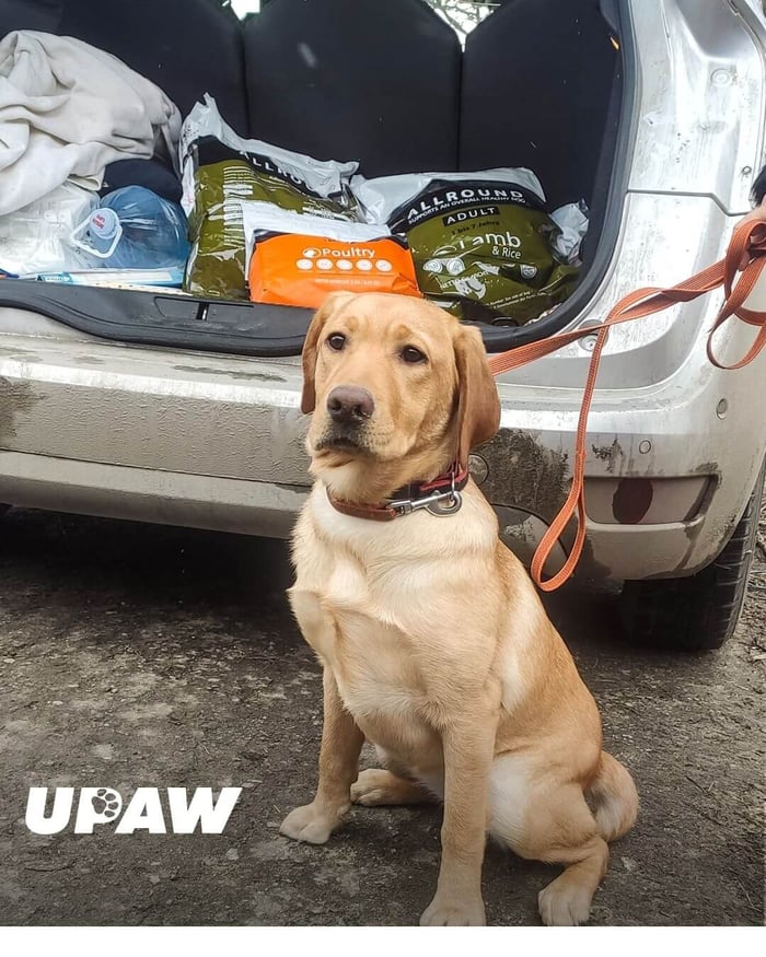 Ukraine Appeal