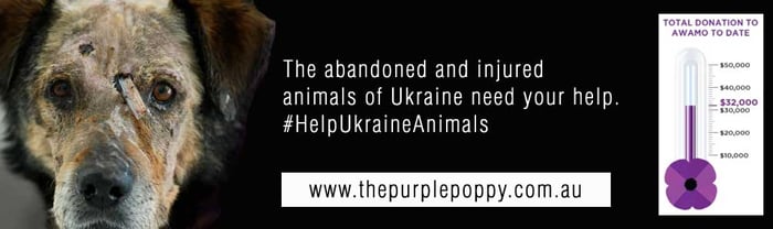 UkraineAppeal2023