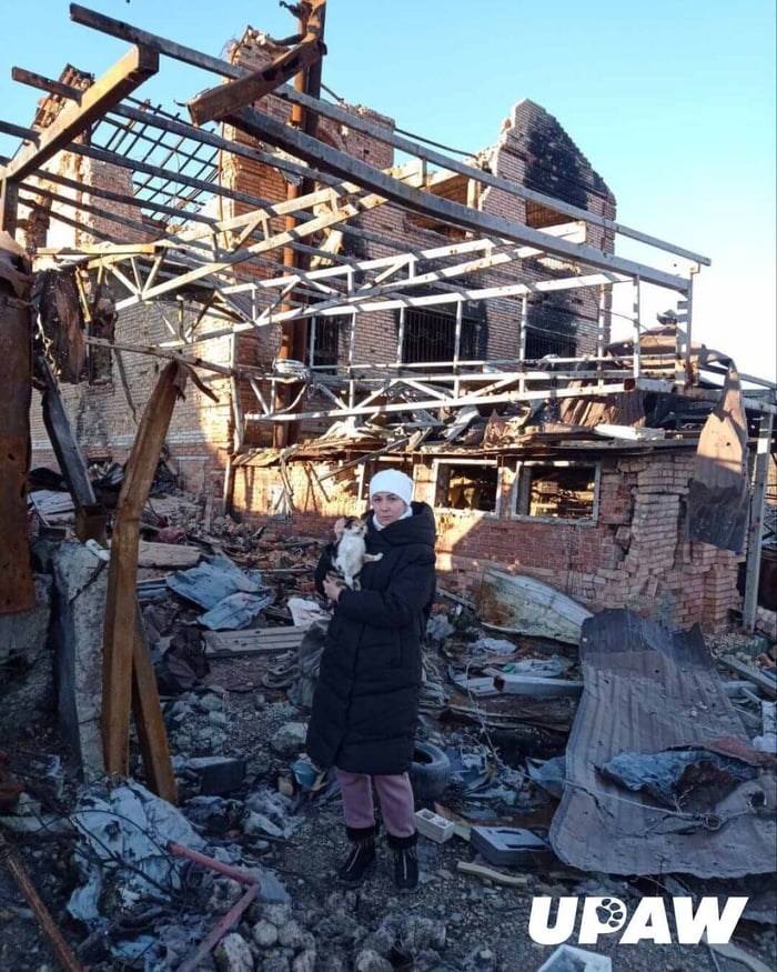 1,600 Tons of Food Required Monthly for Abandoned Animals in Ukraine