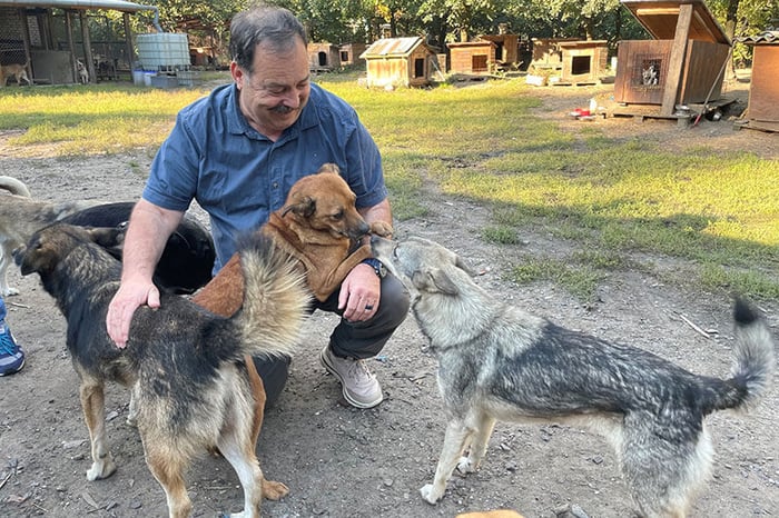 Hands for Paws: Australians provide aid for abandoned Ukraine animals