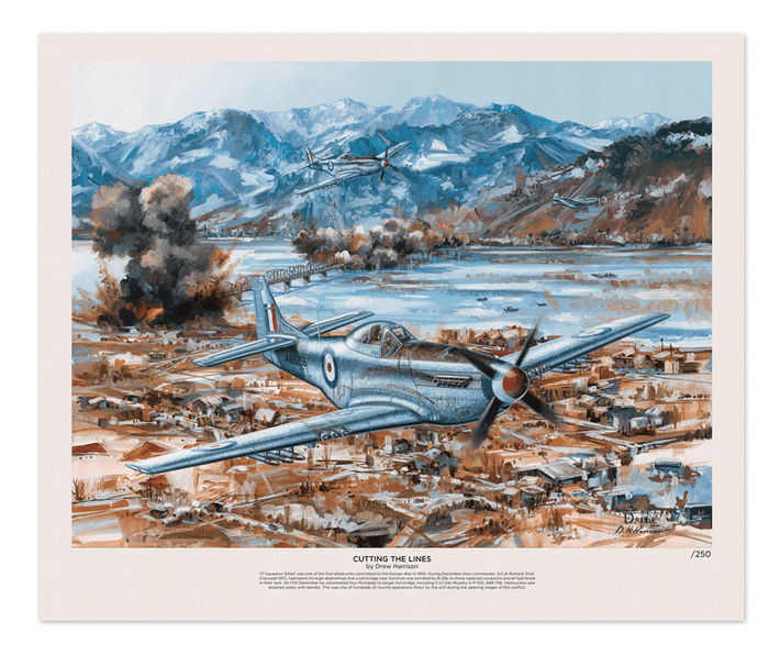 P-51D Mustang print