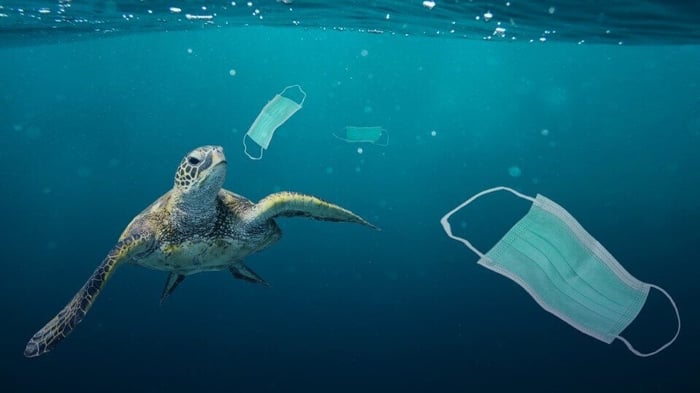 Growing plastic pollution in wake of COVID-19: How trade policy can help |  UNCTAD