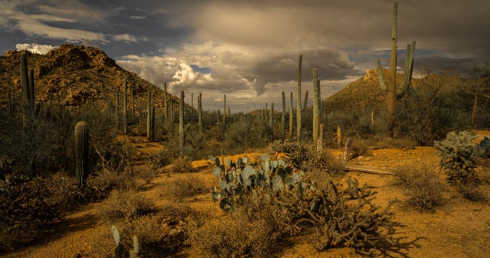 Sonoran Desert