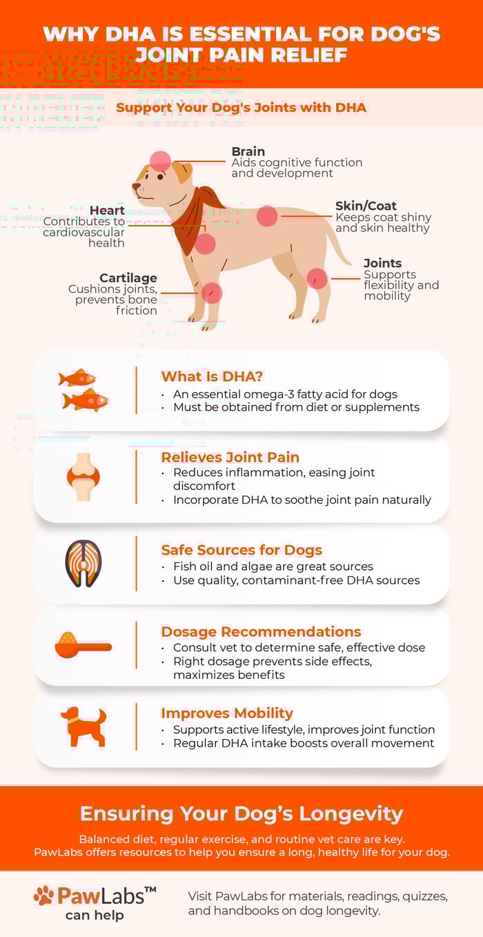 DHA infographic