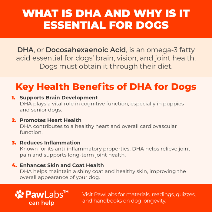 DHA Health Benefits