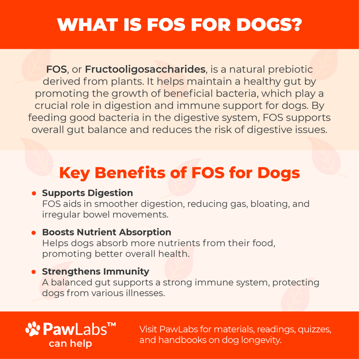 Fructooligosaccharides (FOS)