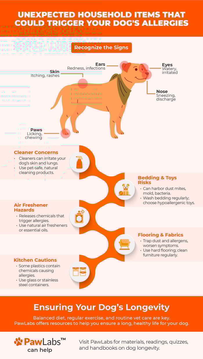 infographic dog allergies