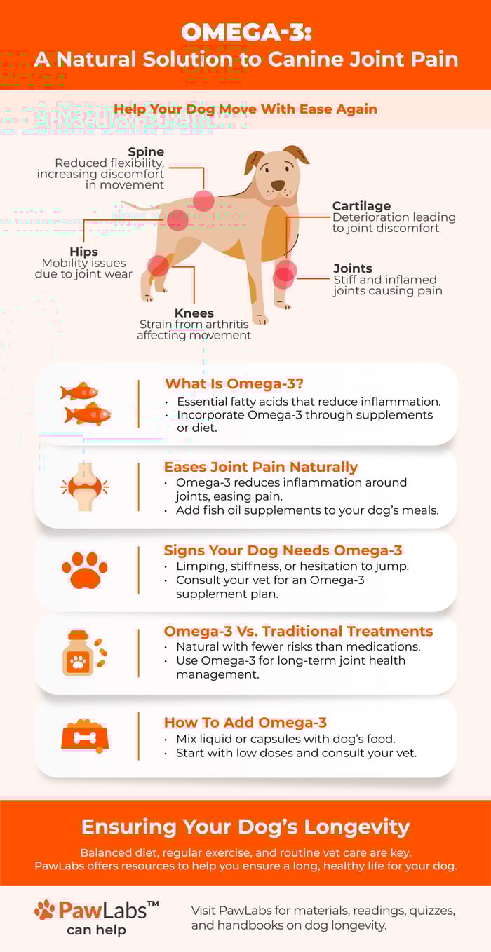 omega-3 infographic