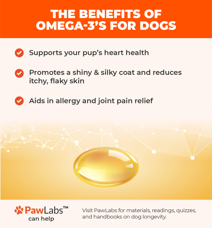 benefits of omega-3s