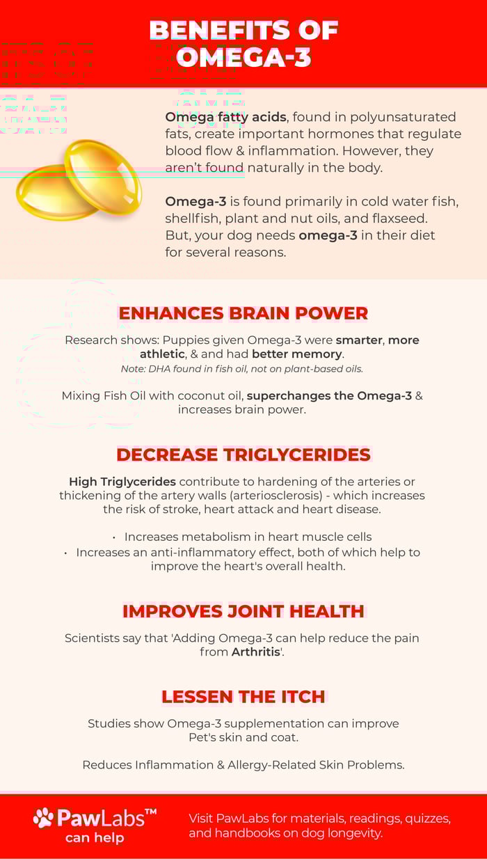 omega-3s health support