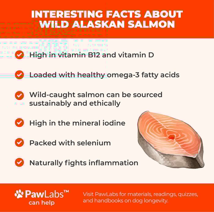 facts about wild alaskan salmon