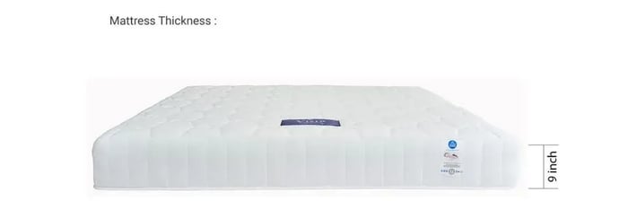 ที่นอน Mattress Thickness สีขาว