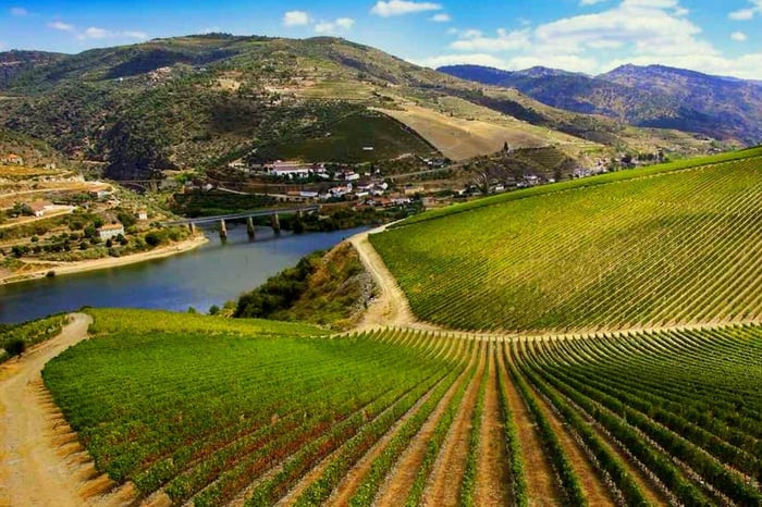 Region: Ribera del Duero