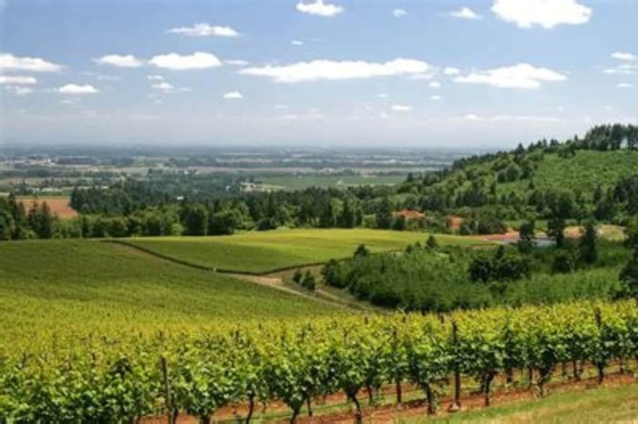 Region: Williamette Valley