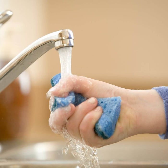 Sponge Cleaning