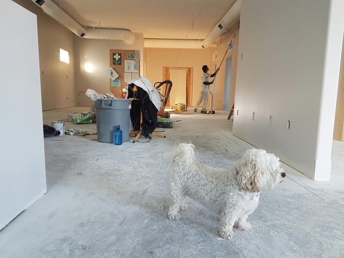 Deep Clean Every Corner of the Home with Plant-based Cleaners