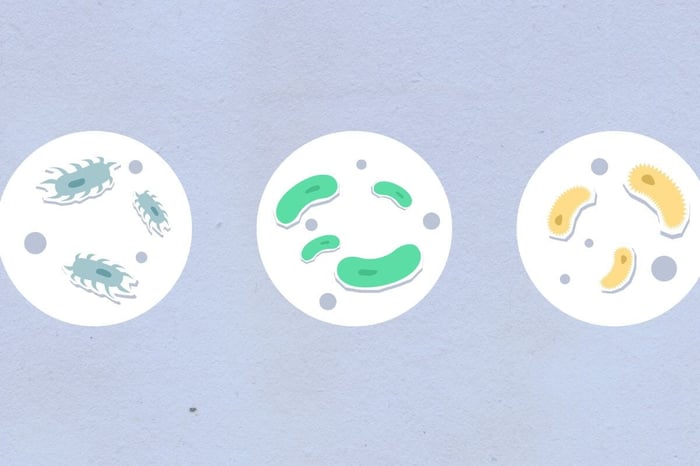 Eco-friendly cleaning products