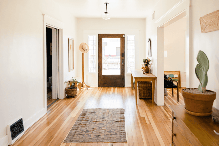 What is the Home Microbiome