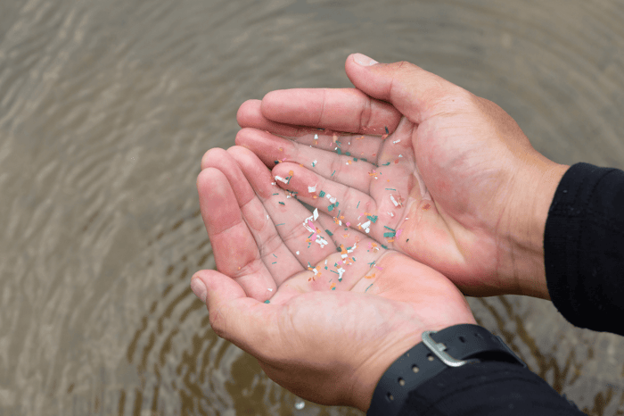 What are microplastics and how they are harming us
