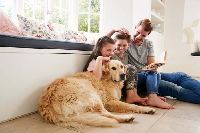 What Makes a Cleaner “Non-Toxic” and Why It Matters for Your Family