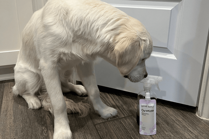pet friendly cleaning products