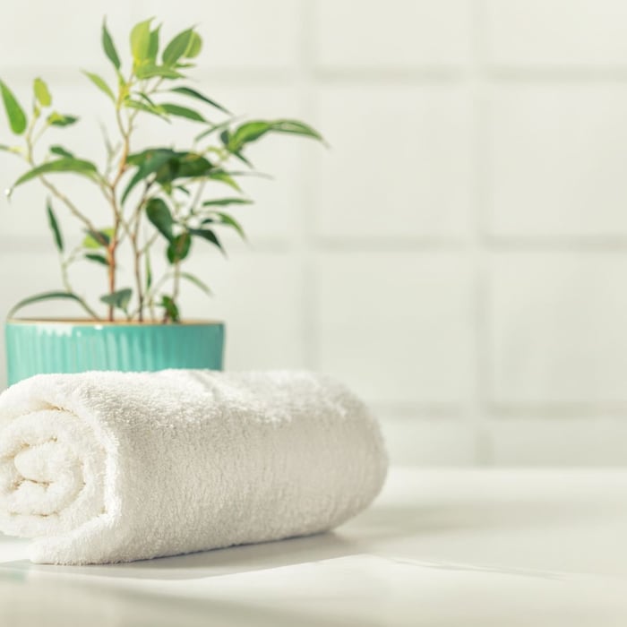probiotic cleaners by Hyve