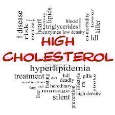 The Caregiver Guide - Managing Cholesterol - Good and Bad