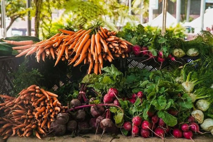 Seasonal Delights - Recipes Featuring Fresh, Local Produce