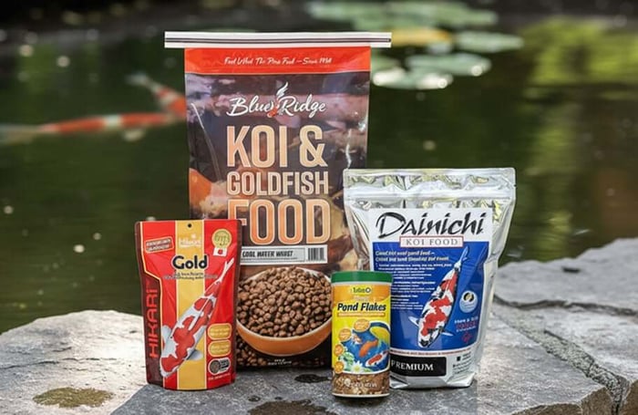 Pond Reset Part 3: Pond Fish Food Made Simple (Wheat Germ vs Staple + How Much to Feed)