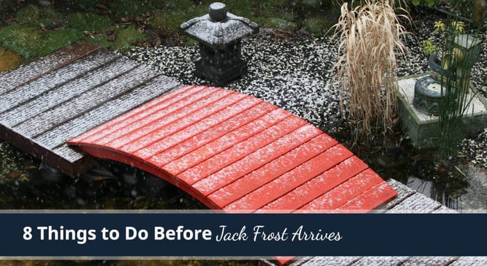 8 things to do before Jack Frost arrives
