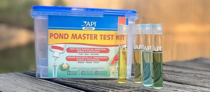 Pond Water Testing: What to Test and How Often to Test