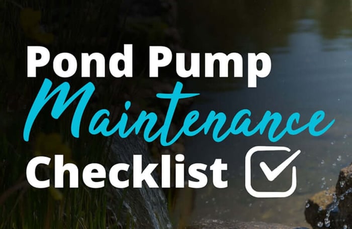 3 Equipment Checks Every Pond Owner Should Do