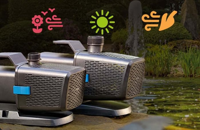 Do I Need to Run My Pond Pump All Year?