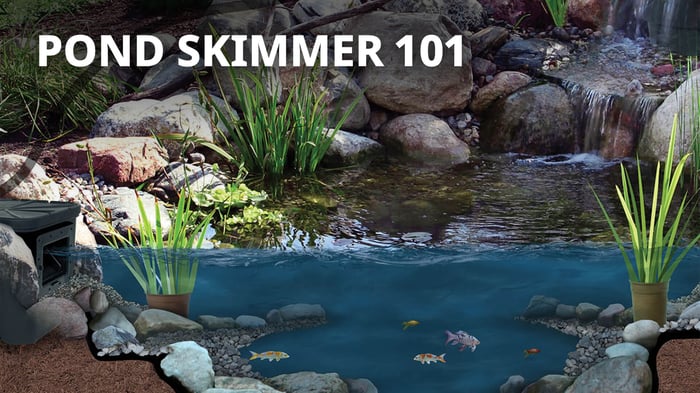 Pond Skimmer 101