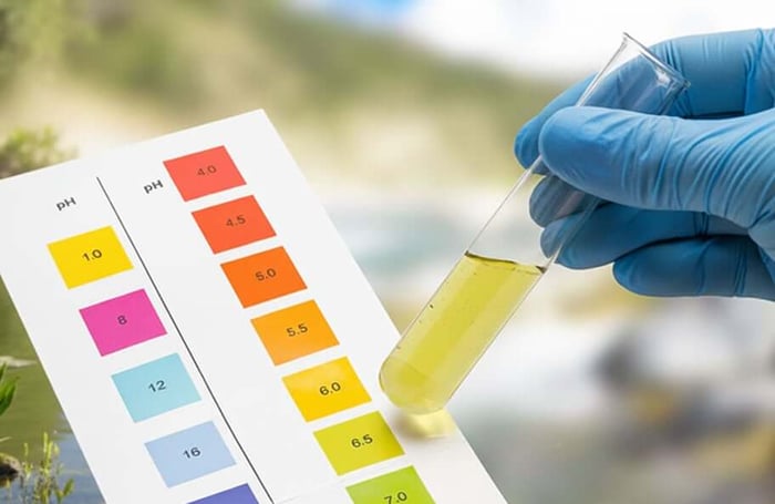 Pond Reset – Part 2: Pond Water Testing Made Simple (and What to Do Next)