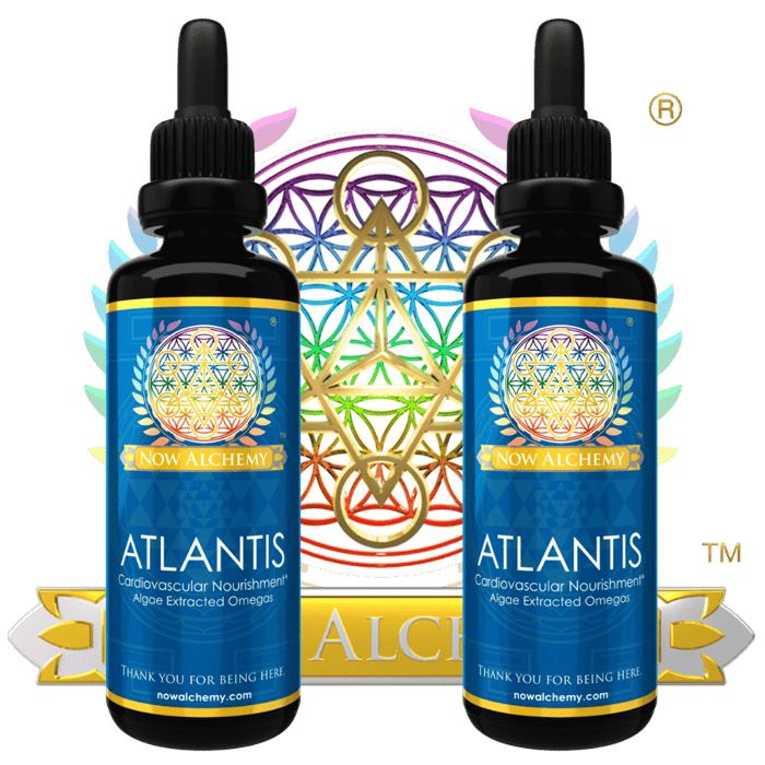 What's the Best Omega Supplement? How About Ohmega.