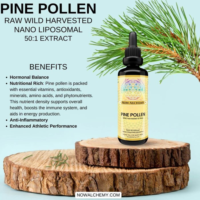 Pine Pollen