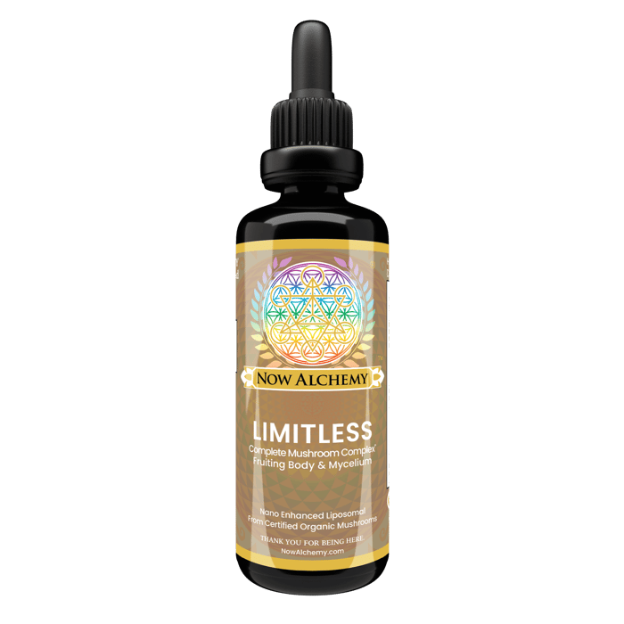 The Comprehensive Guide to the Best Mushroom Supplement and Liposomal Elixirs: Why Now Alchemy is the Ultimate Choice for Mushroom Supplementation