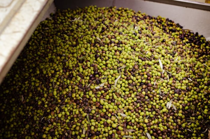 agrumato olive oil production process - flavor infused olive oil