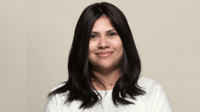 Clio 14L Top Extensions