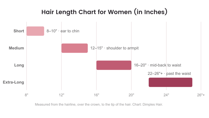 Hair length chart for women showing four categories as horizontal bars on an inch scale: short 8 to 10 inches at ear to chin, medium 12 to 15 inches at shoulder to armpit, long 16 to 20 inches at mid-back to waist, and extra-long 22 to 26 plus inches past the waist.